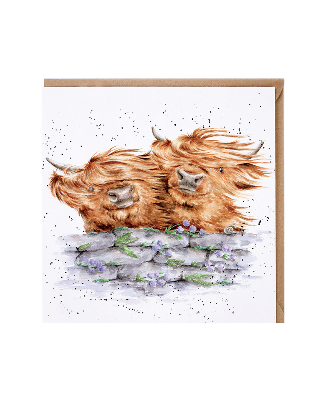 Auf der Grußkarte Hochlandrinder von Wrendale Designs sind zwei Hochlandkühe, hinter einer Natursteinmauer stehend, abgebildet. Wind verweht das lange Fell der beiden Tiere, die freundliche über die mit violetten Blumen bewachsene Mauer schauen.