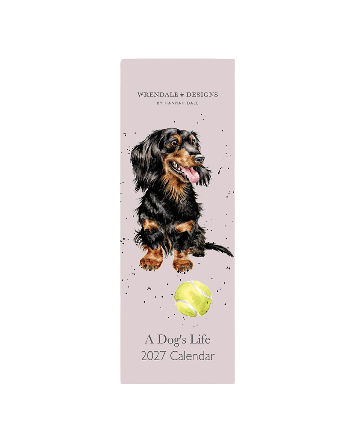 Hunde Streifenkalender 2027 "A Dogs Life" von Wrendale Designs vor weißen Hintergrund. Das Motiv besteht aus einem grauen Hintergrund und einem schwarz/braunen Hund welcher ein Tennisball vor sich liegen hat. 