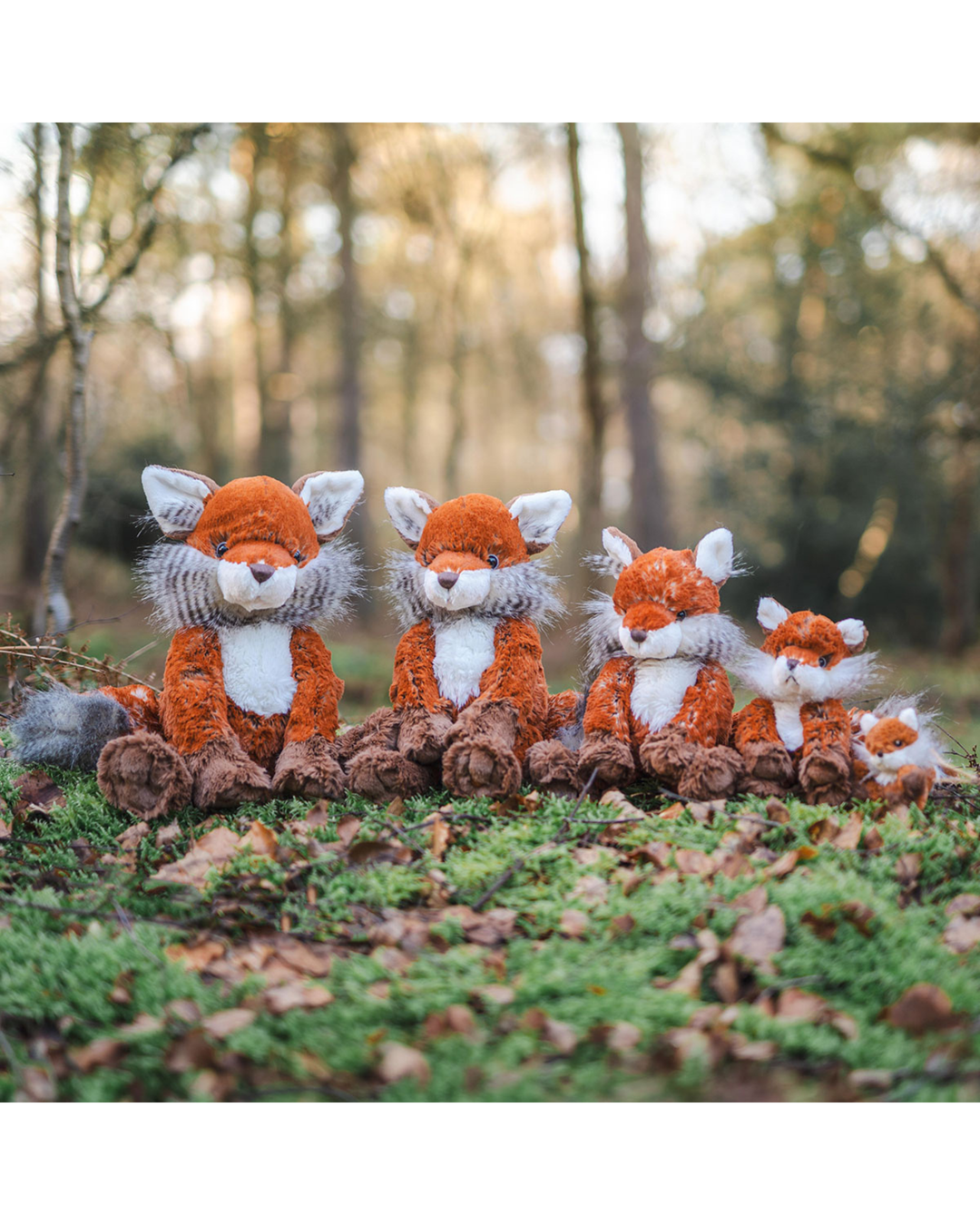 4 Fuchs Kuscheltiere von Wrendale Designs und ein Fuchs Schlüsselanhänger. Die Füchse sitzen in einer Reihe im Wald und sind nach der Größe geordnet.