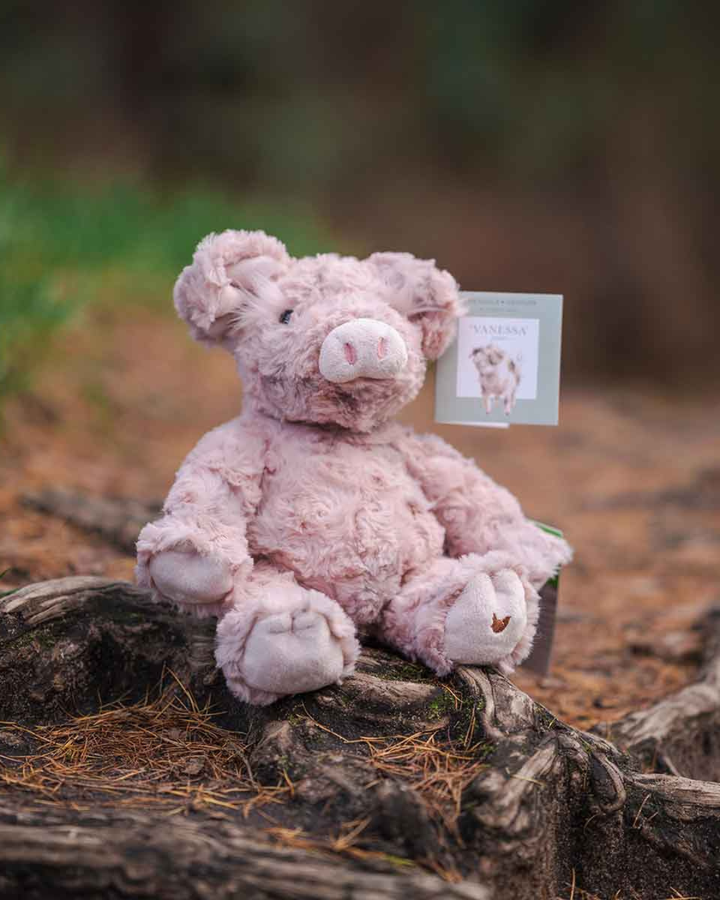 Schweinchen Kuscheltier „Vanessa“ von Wrendale Designs im Wald frontal fotografiert, niedlicher Gesichtsausdruck mit Schlappohren und gestickten Details.