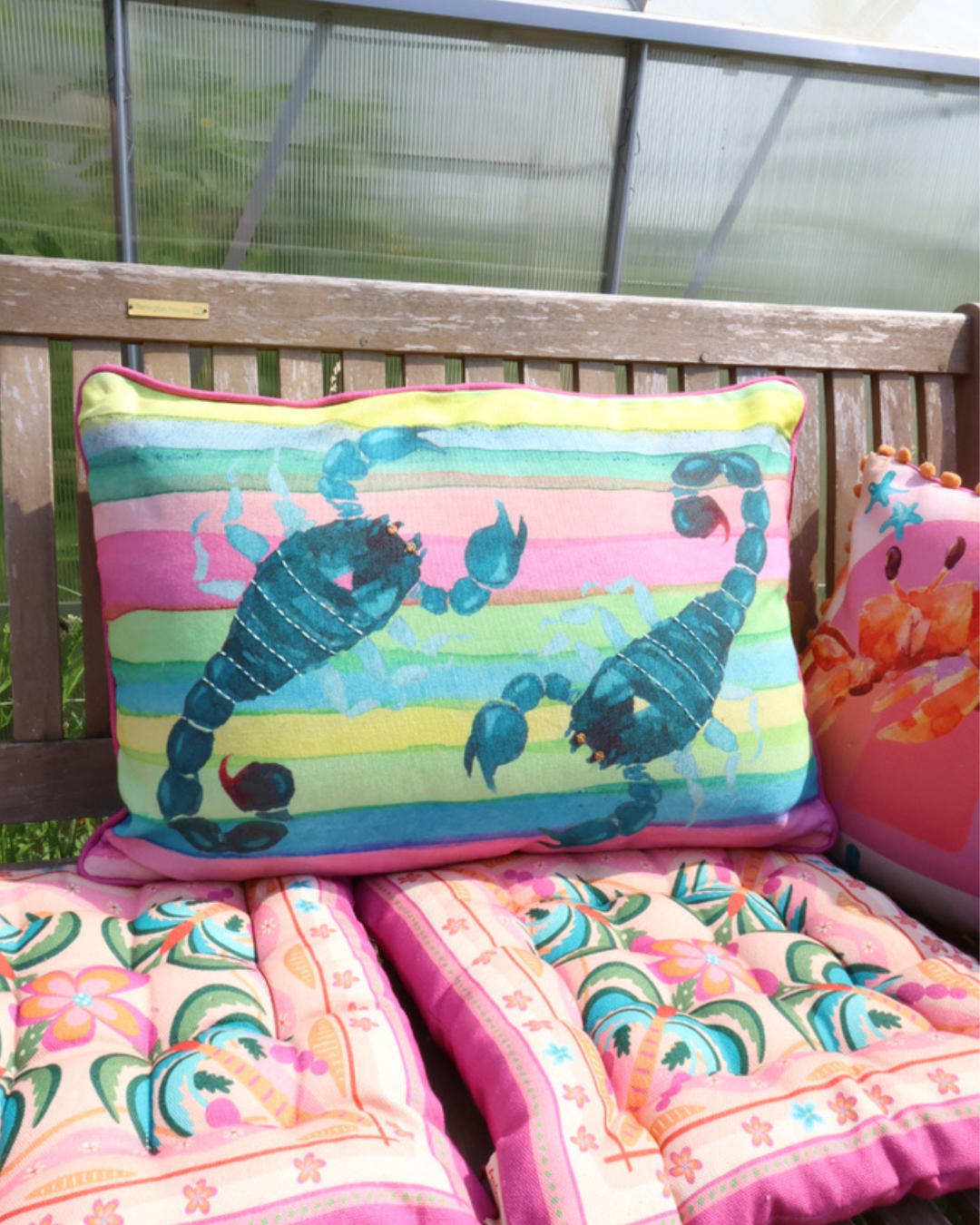 Outdoor Skorpion Kissen "Scorpio 60x40" von Imbarro