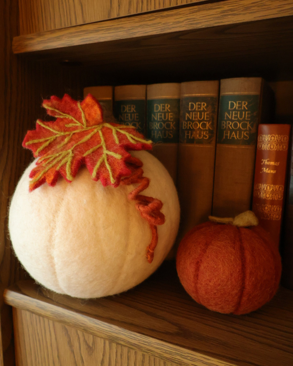 dekorierte Filzkürbisse weiss und Orange von Grace & Gloria und Gry & Sif. Zu sehen ist links ein großer weißer Kürbis mit einem orangenen Blatt und recht ein kleiner orangener Kürbis. Beide Kürbisse stehen in einem Bücherregal.