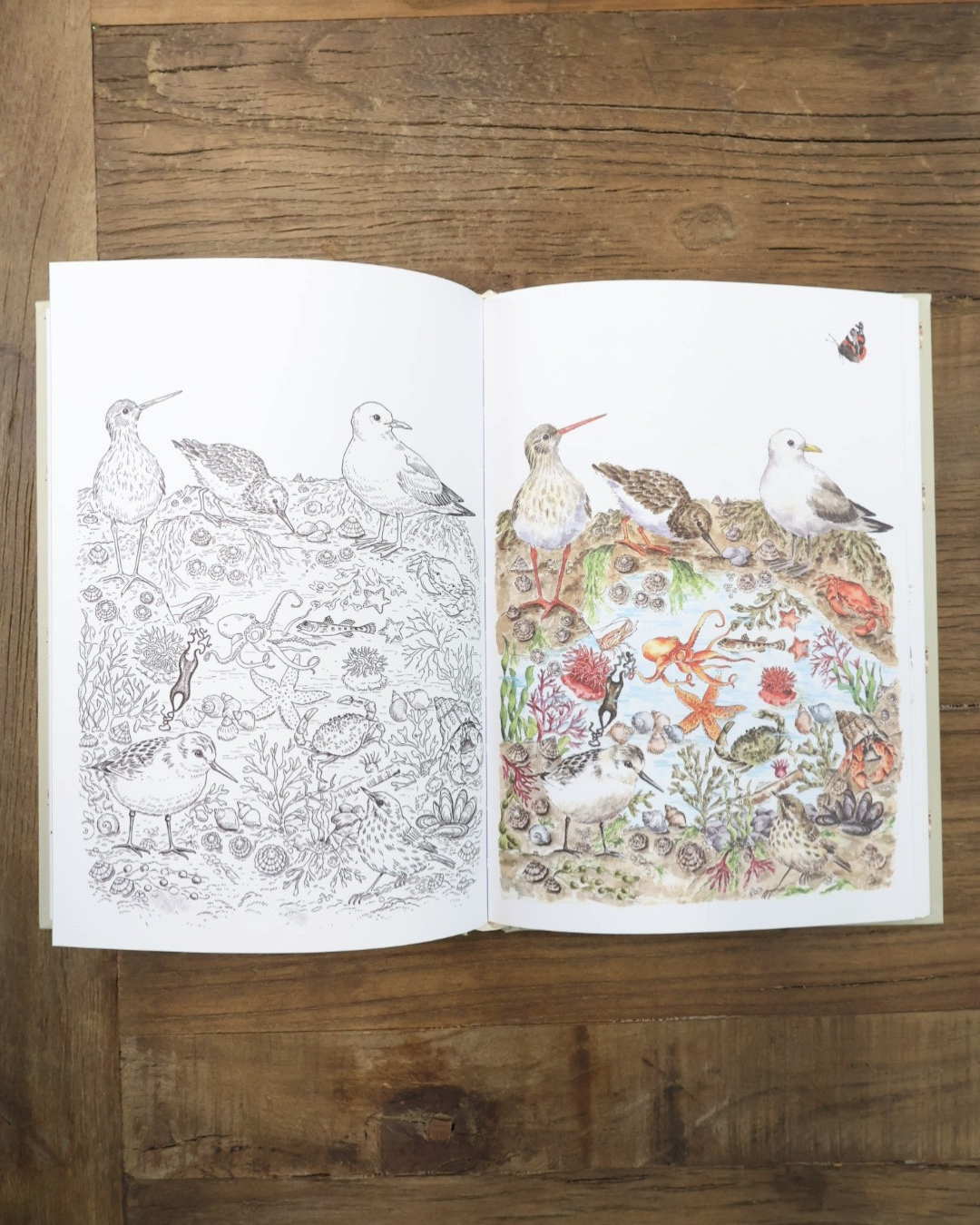 Achtsamkeits- und Geschenktagebuch A5 von Wrendale Designs