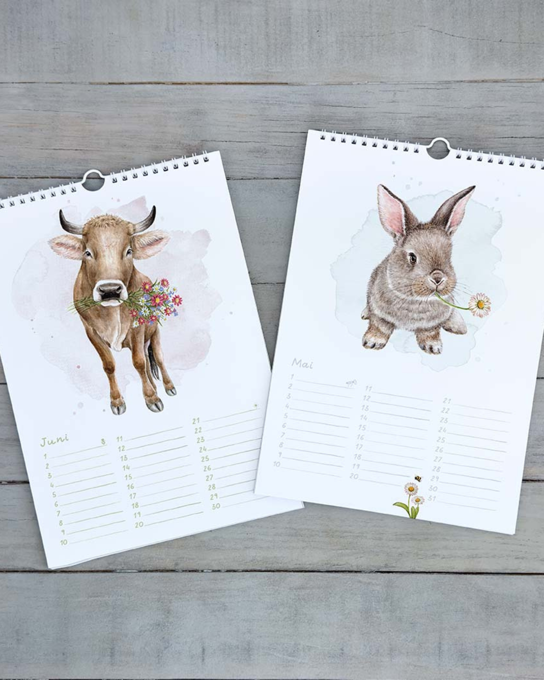 Seiten des Maluu Kalenders mit Kuh und Hase Illustration