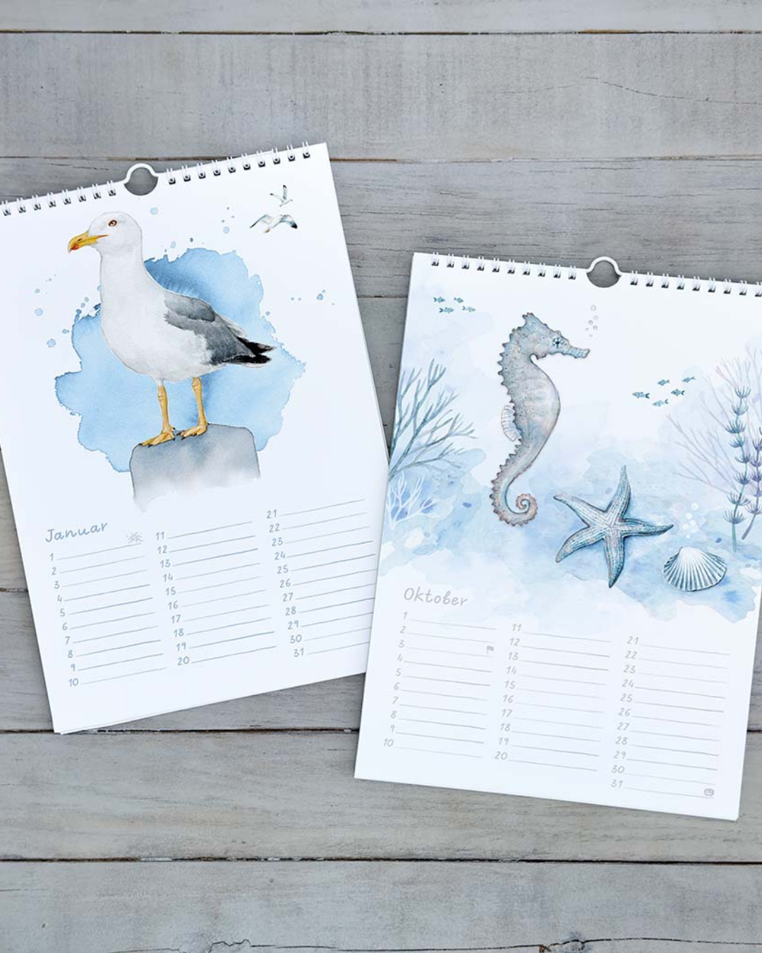 „Kalenderseiten mit Möwe und Seepferdchen aus dem Maluu Maritim Kalender“