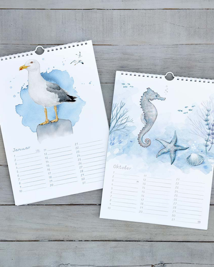 „Kalenderseiten mit Möwe und Seepferdchen aus dem Maluu Maritim Kalender“