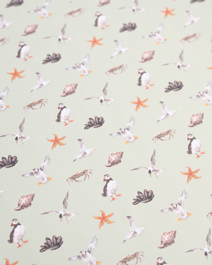 Innencover des Wrendale Designs Skizzenbuch A4 mit kleinem Küstenmuster aus Vögeln und Muscheln