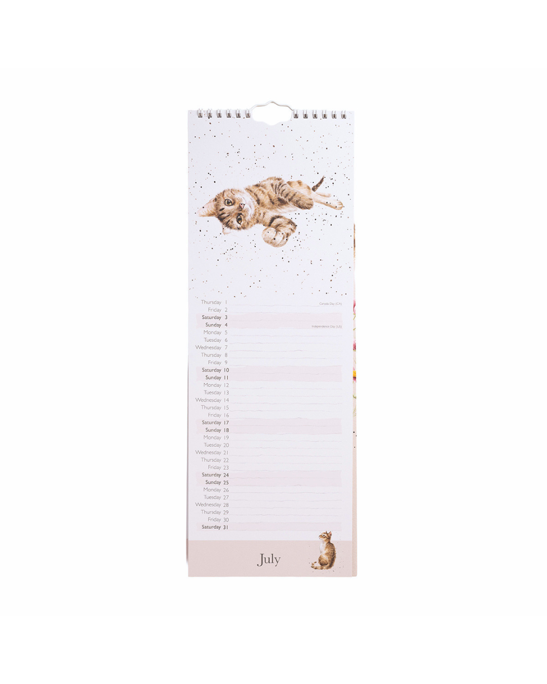 Katzen Streifenkalender 2027 "Feline Friends" von Wrendale Designs
