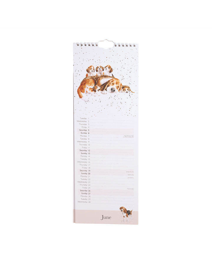 Hunde Streifenkalender 2027 "A Dog's Life" von Wrendale Designs
