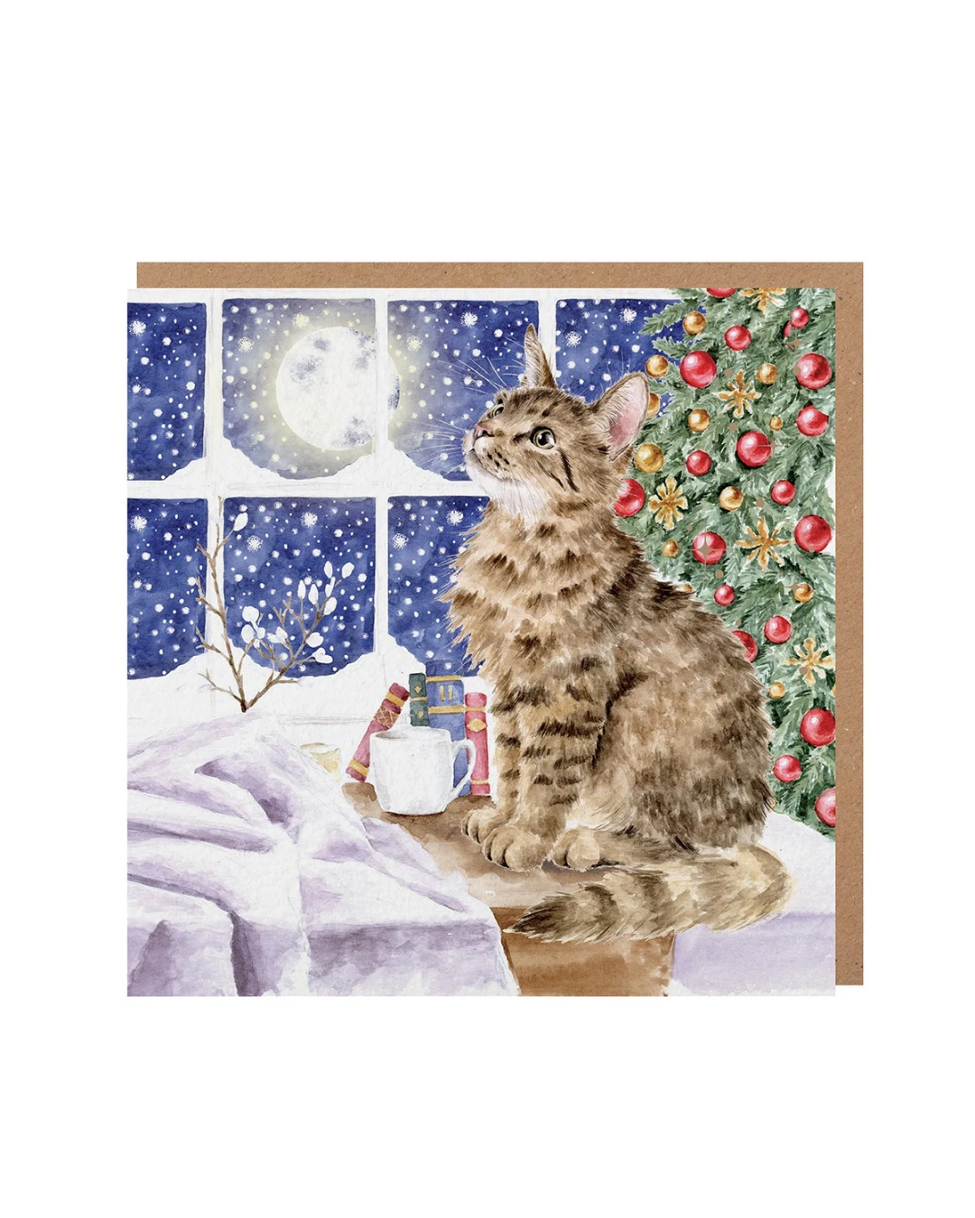 Weihnachtliche Katzen Doppelkarte "Christmas Stars" von Wrendale Designs