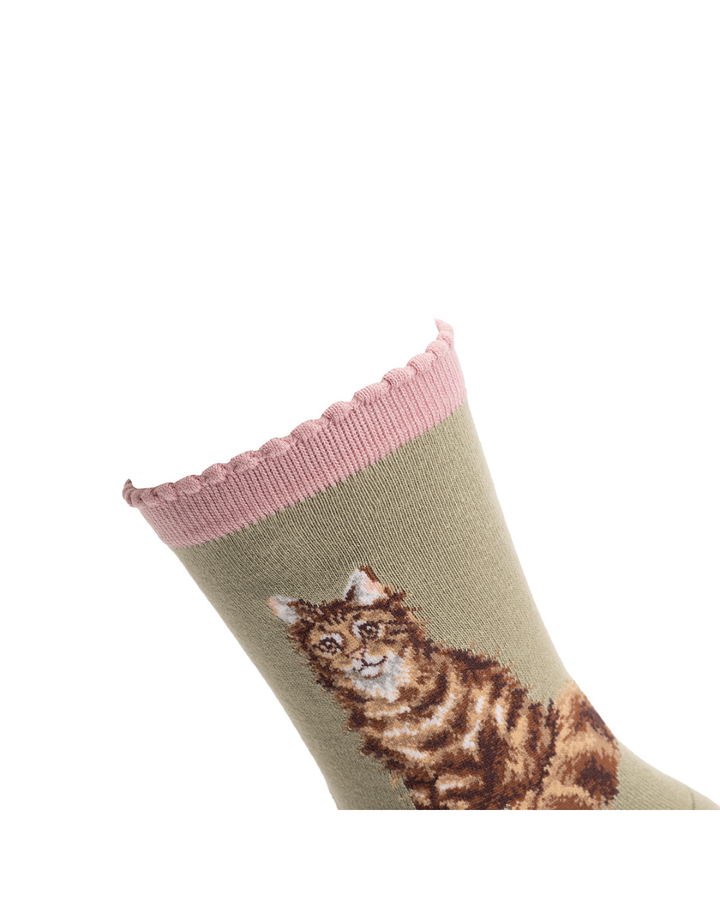 Detailansicht des rosafarbenen Bündchens der Katzen Socken von Wrendale Designs