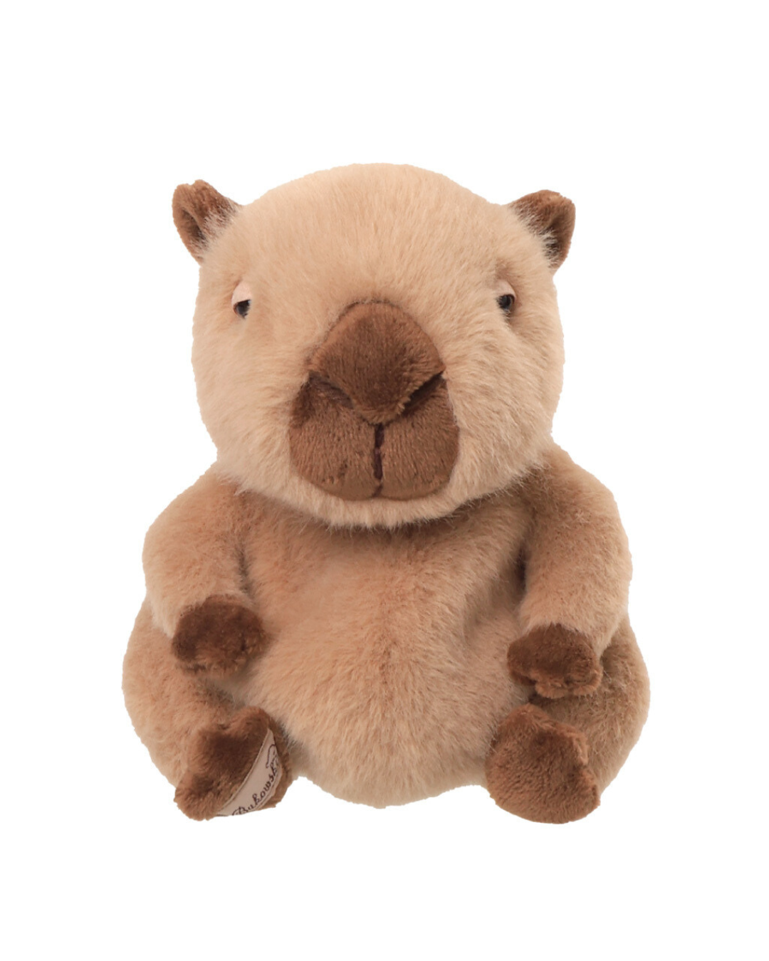 Ein Capybara von Bukowski sitzt auf weißem Hintergrund. Sein weiches Fell und die braunen Pfoten sind im Detail zu sehen.