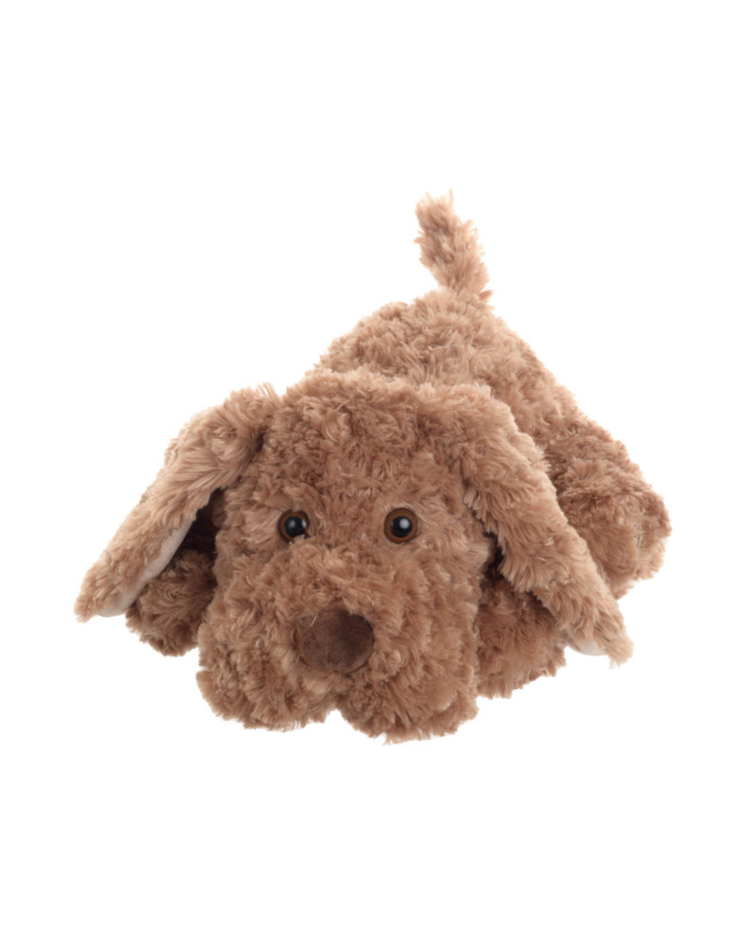 Hund Manfred von Bukowski frontal fotografiert mit Schlappohren und liebevollem Gesichtsausdruck