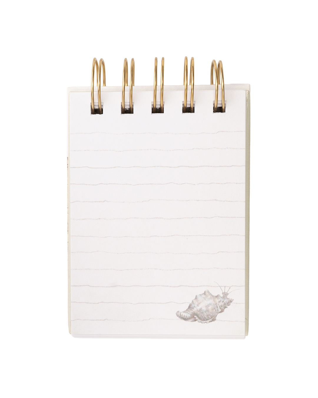 Linierte Seite im Mini Notiz- und Skizzenbuch „Seaside“ von Wrendale Designs mit Muschel-Illustration.