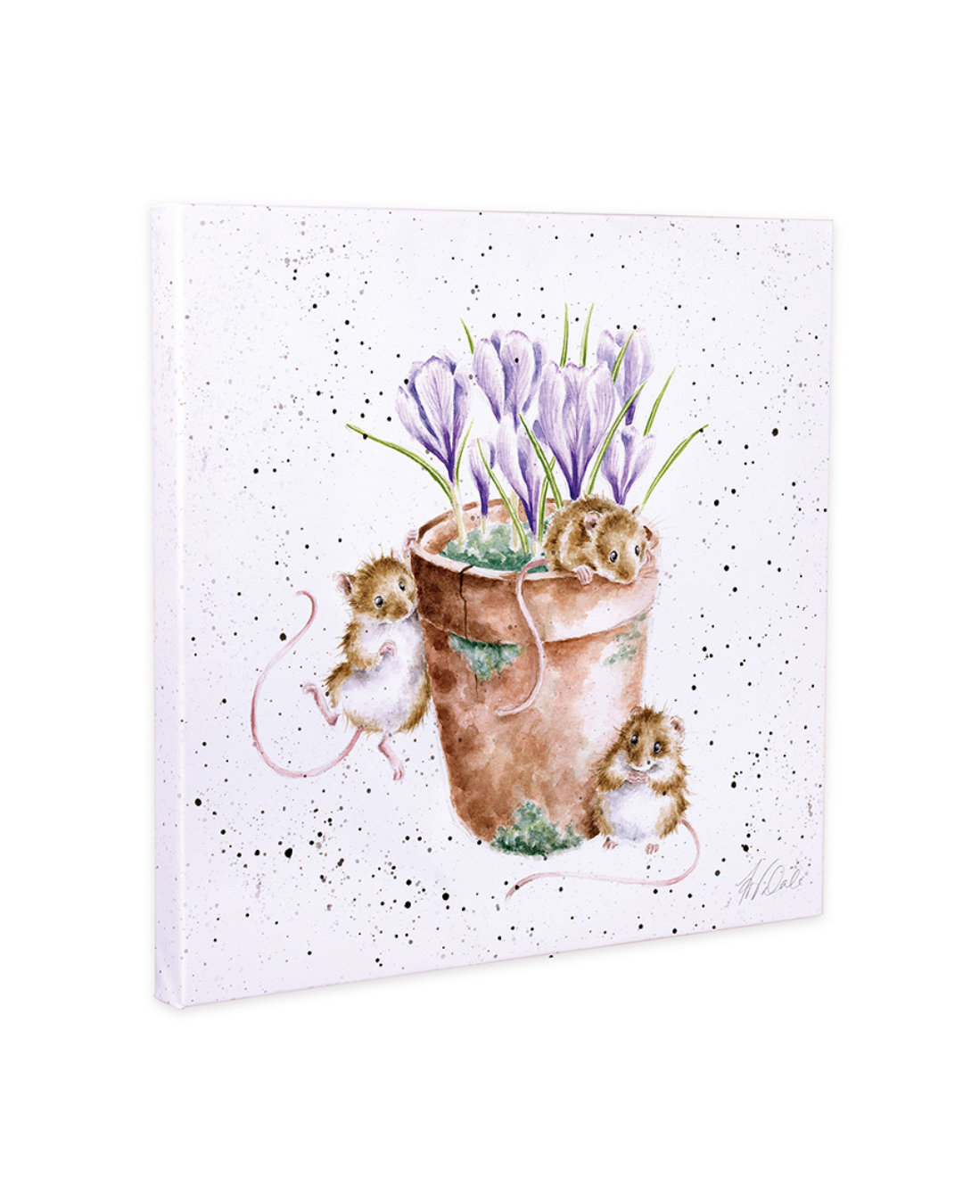 Illustration von drei Mäusen, die um einen Blumentopf mit violetten Krokussen herum sitzen, auf einer quadratischen Leinwand von Wrendale Designs.