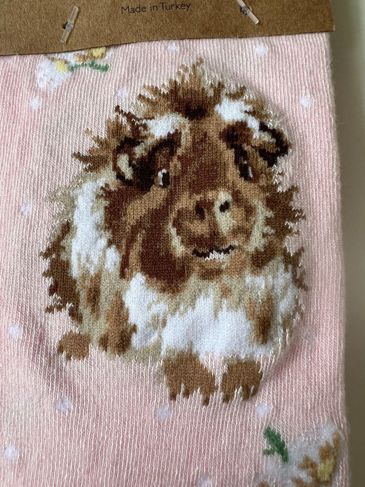 Socken Meerschweinchen von Wrendale Designs