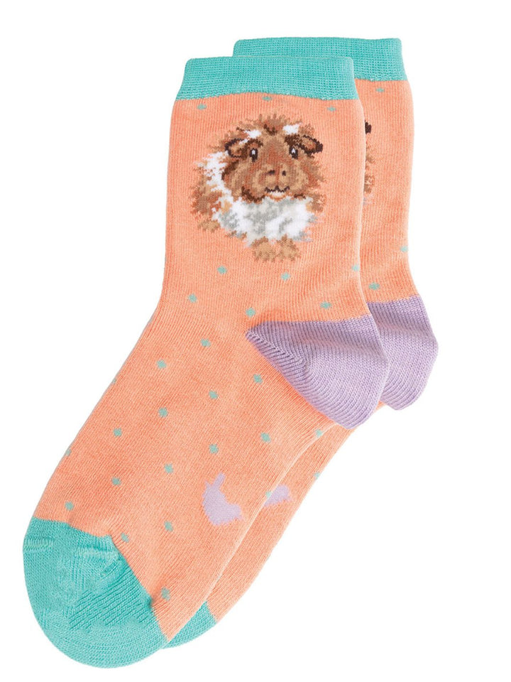 Bunte Meerschweinchen Socken für Kinder von Wrendale Designs.