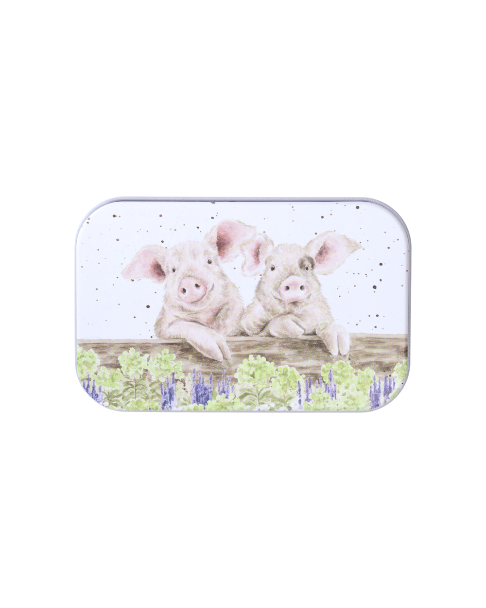 Geöffnete Schweine-Dose von Wrendale Designs mit Schweinemotiv im Inneren, dekorative Aufbewahrungsdose mit liebevoller Illustration