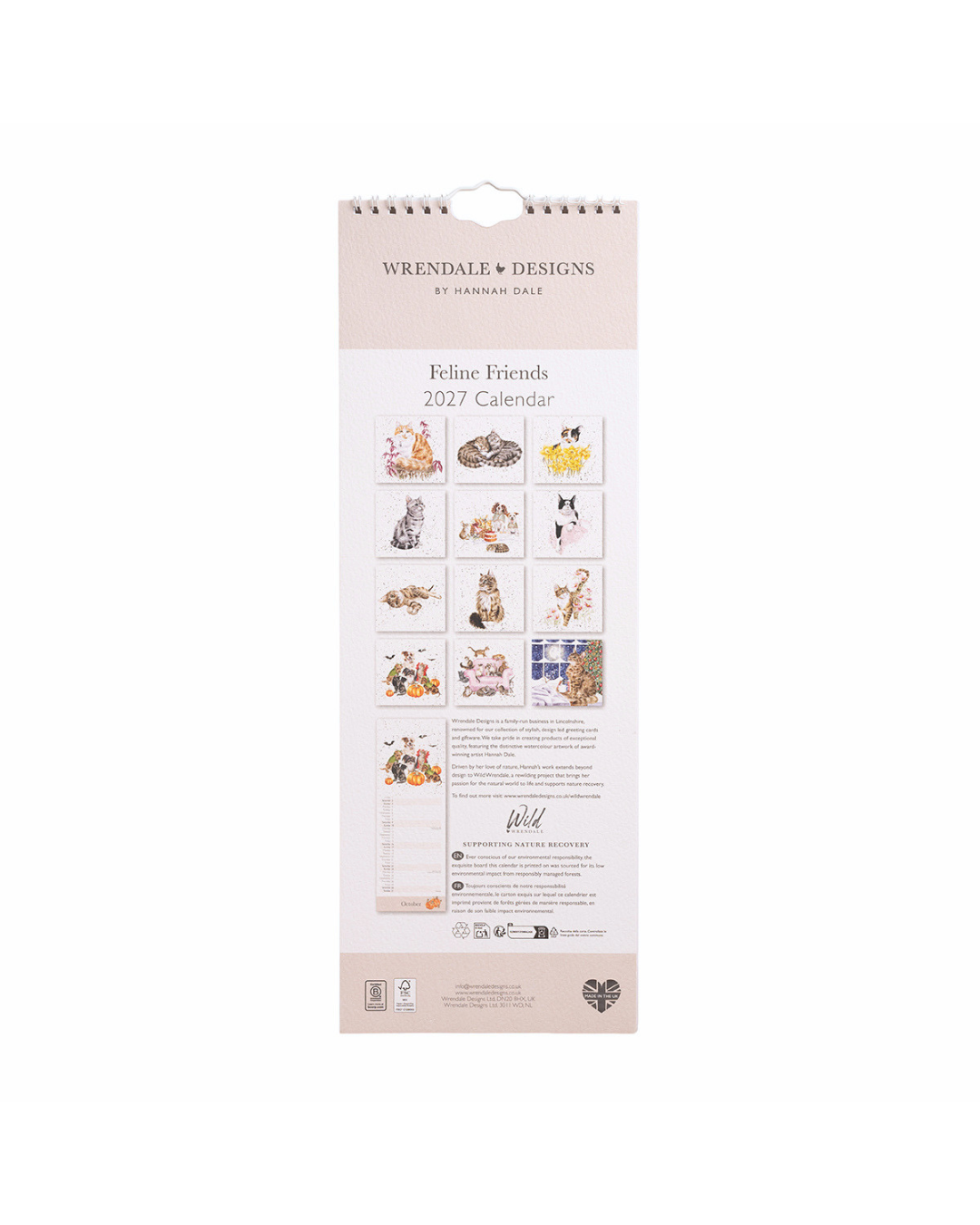 Katzen Streifenkalender 2027 "Feline Friends" von Wrendale Designs
