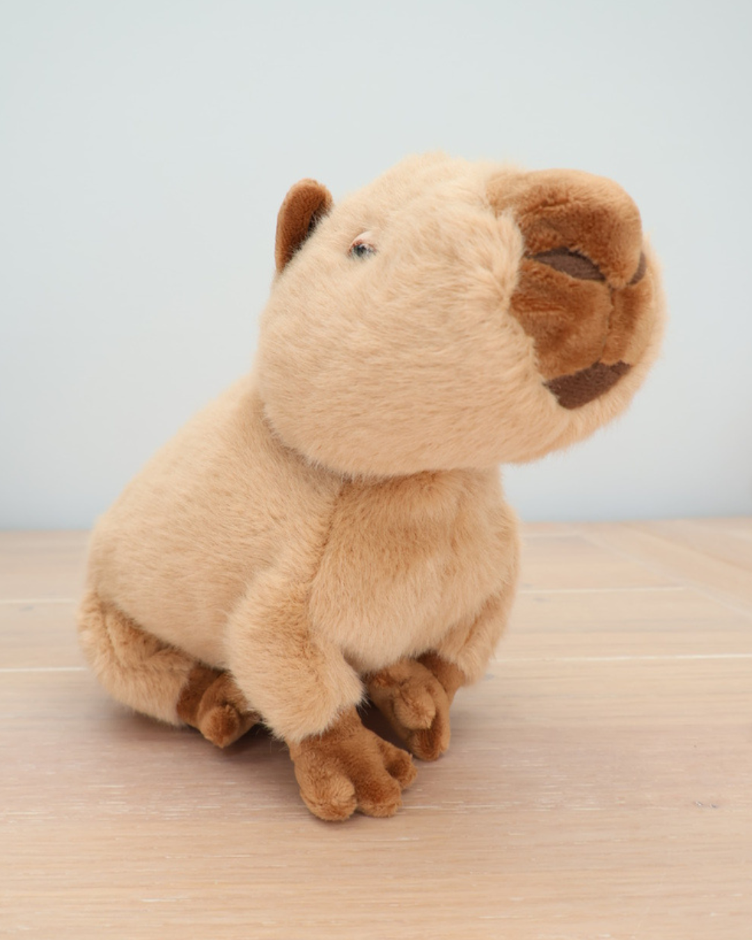 Ein Capybara von Bukowski sitzt auf einem hellen Holzboden. Der Blick ist nach oben gerichtet.