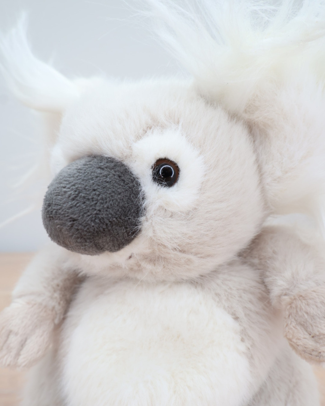 Nahaufnahme des Gesichts des Baby Koalas von Bukowski. Die schwarzen Knopfaugen und die graue Nase sind deutlich zu erkennen.