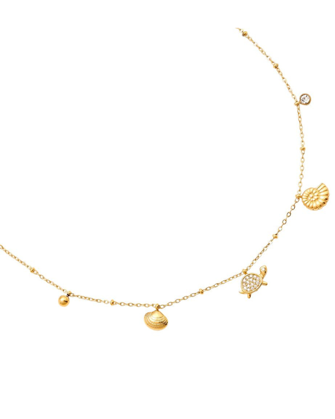 Kette mit Schildkröte & Muscheln von Dottilove