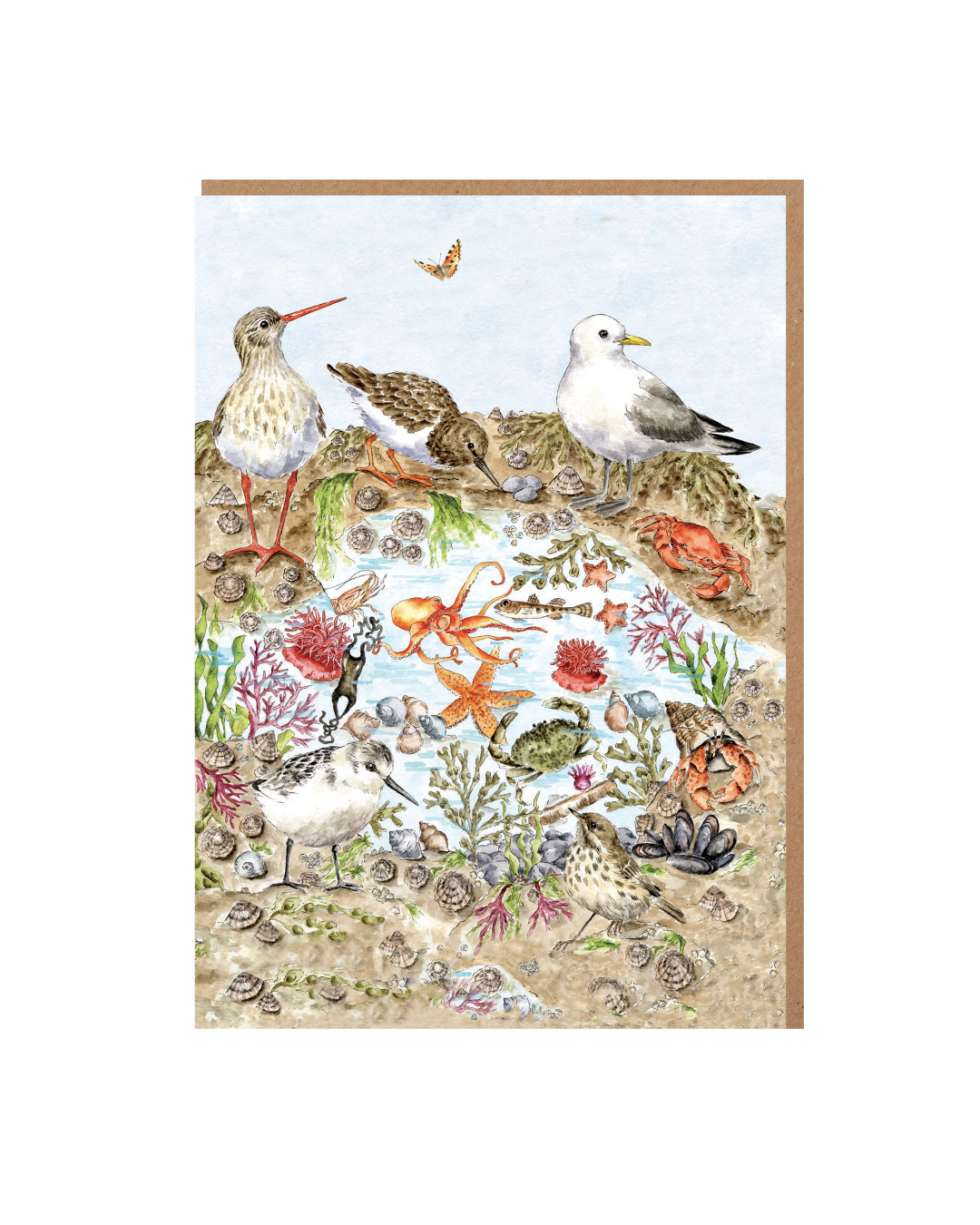 Wrendale Designs „Seaside“ Grußkarte mit maritimem Küstenmotiv, Seevögeln und Meereslebewesen, vor weißem Hintergrund.