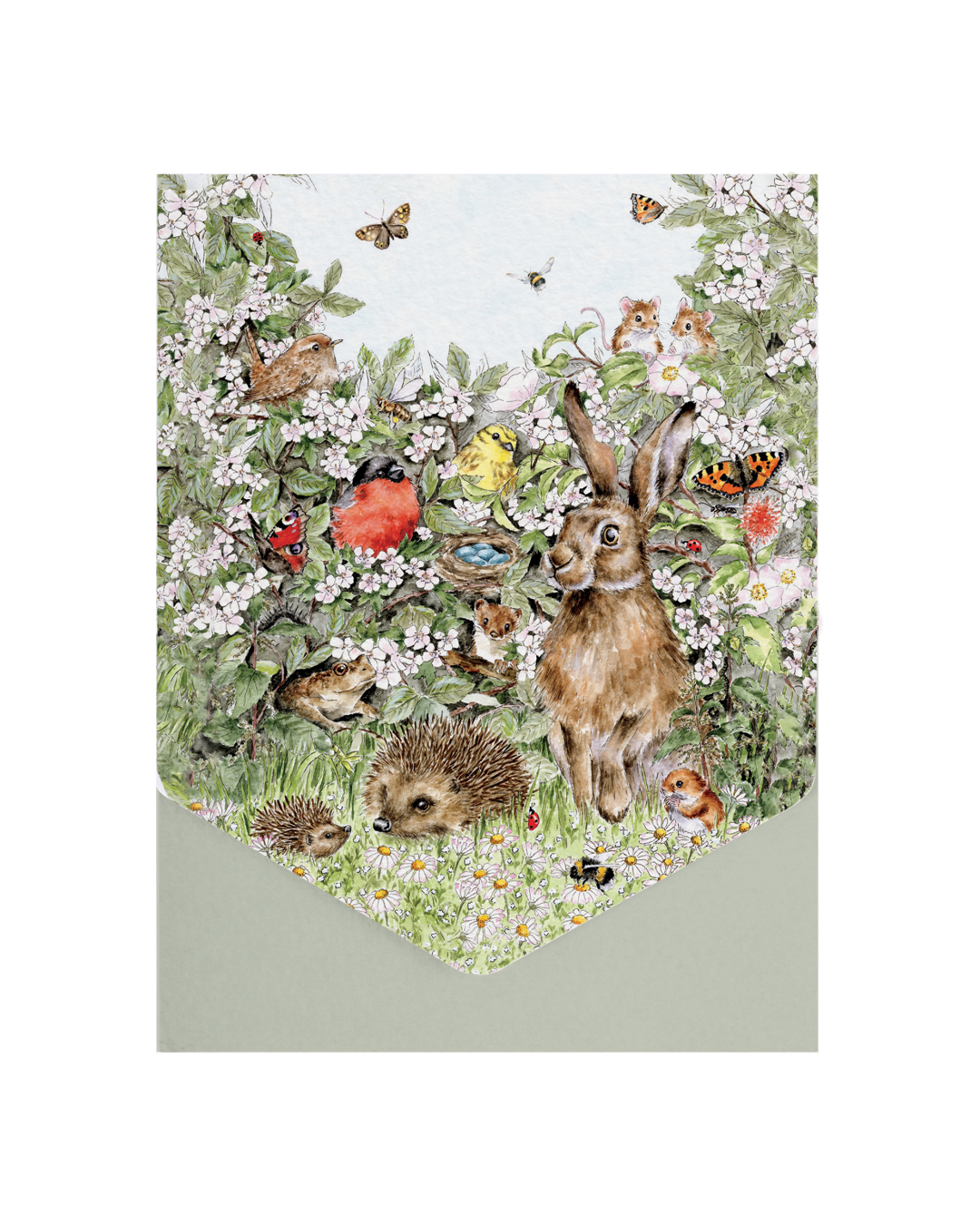 Verpackung des Nature Grußkarten-Sets „Hedgerow“ von Wrendale Designs mit Heckenmotiv und Gartentieren.