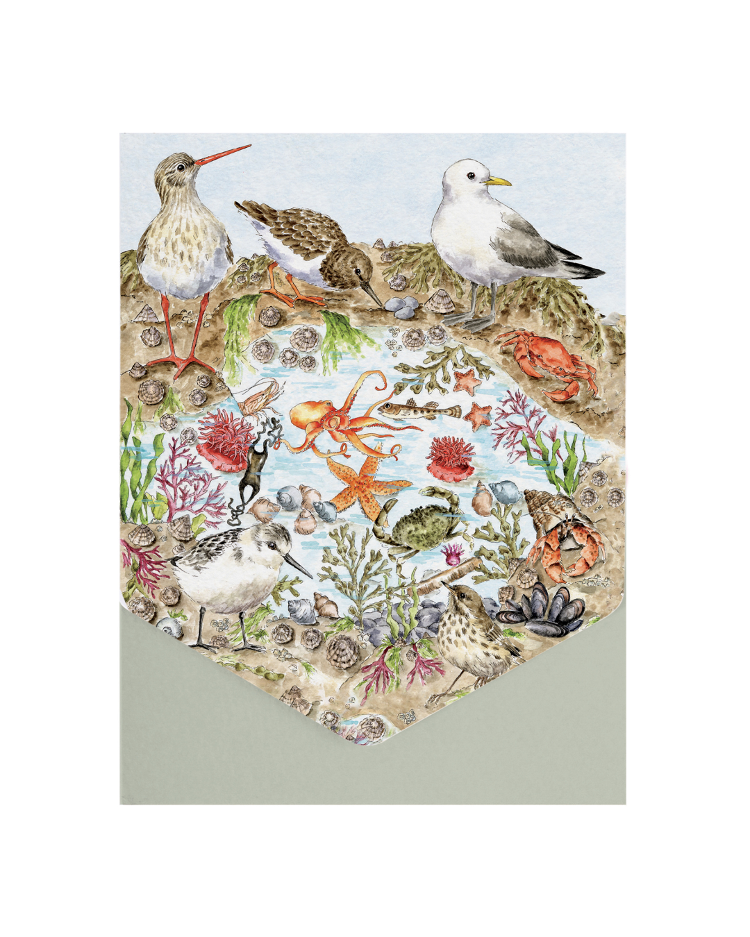 Verpackung des Nature Grußkarten-Sets „Seaside“ von Wrendale Designs mit maritimem Motiv vor weißem Hintergrund.