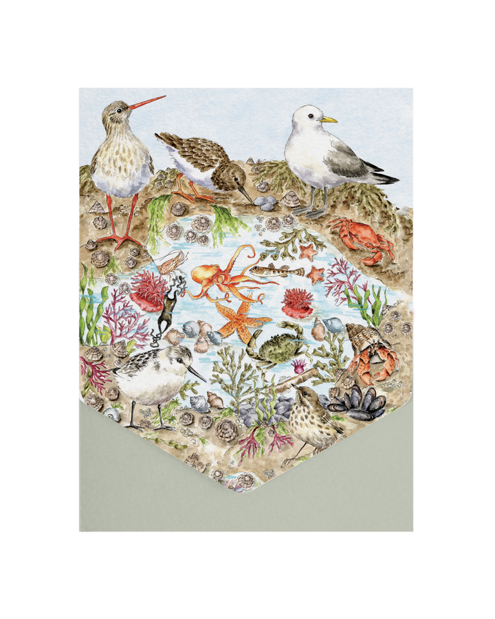 Verpackung des Nature Grußkarten-Sets „Seaside“ von Wrendale Designs mit maritimem Motiv vor weißem Hintergrund.