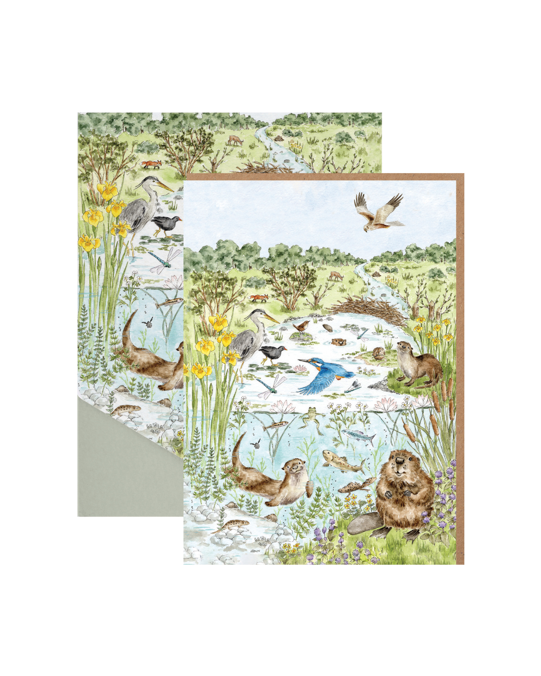 Nature Grußkarten-Set "Riverbank" von Wrendale Designs