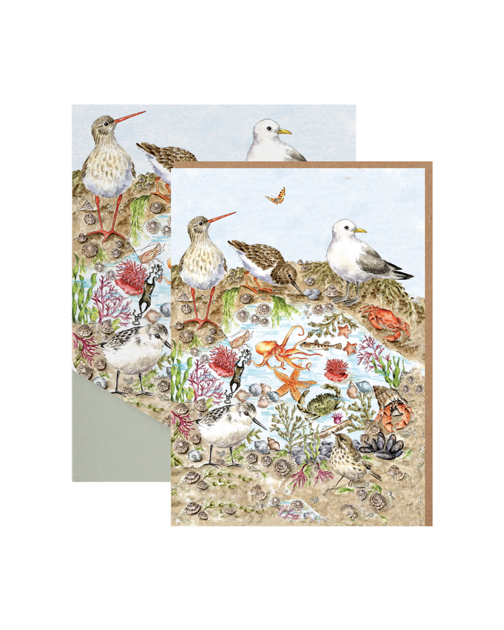 Wrendale Designs „Seaside“ Grußkarte mit braunem Umschlag, dahinter die Verpackung vor weißem Hintergrund.