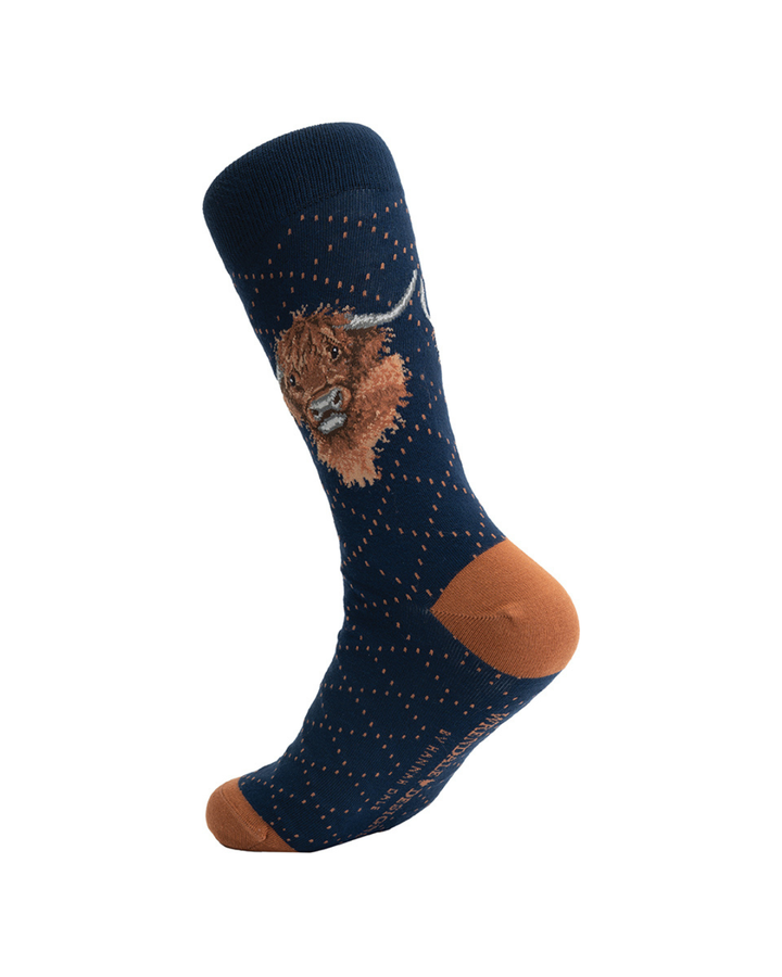 Rückansicht der Hochland-Kuh Männersocken „Gordon“ von Wrendale Designs