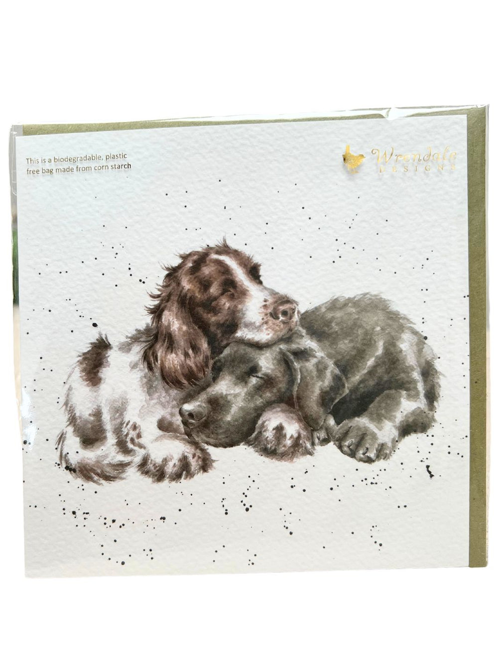 Die Karte zeigt zwei schmusende Hunde im typischen Aquarellstil von Hannah Dale. Ein Hund hat braun-weißes Fell, der Andere ist dunkelgrau. Beide Hunde haben vor lauter Entspannung die Augen gesclossen.