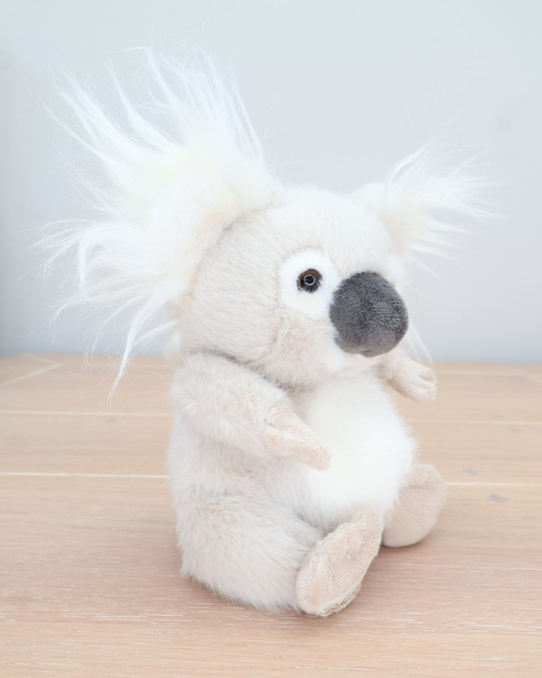 Seitenansicht des Baby Koalas von Bukowski. Der Koala sitzt auf einem Holzboden, die flauschigen Ohren und der weiche Fellcharakter sind gut sichtbar.