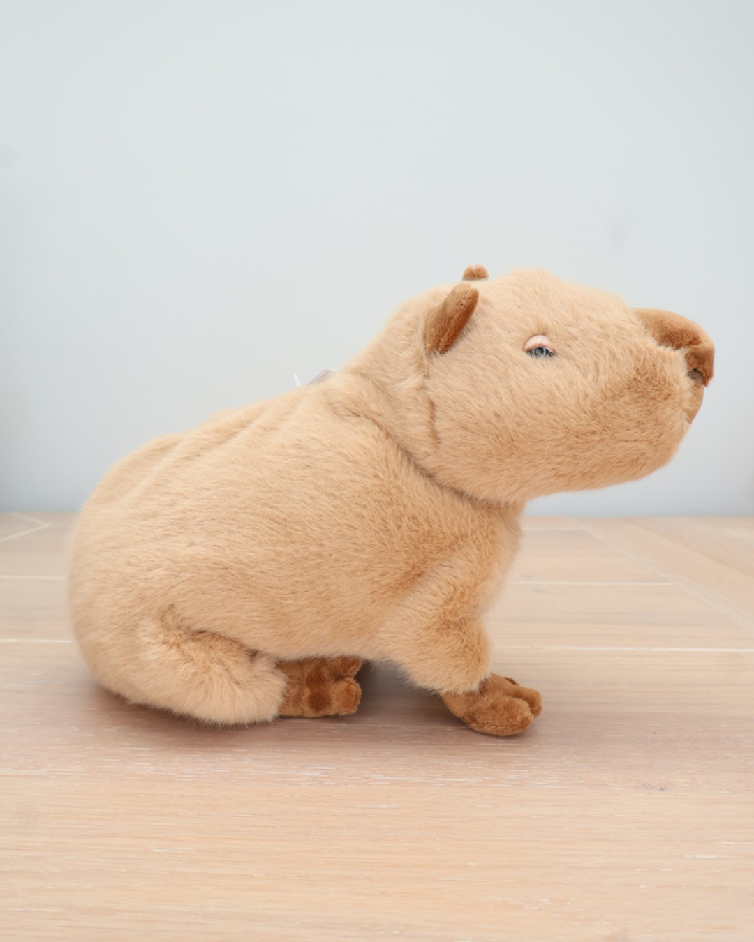 Ein Capybara von Bukowski sitzt auf einem hellen Holzboden. Der Blick ist nach rechts gerichtet.