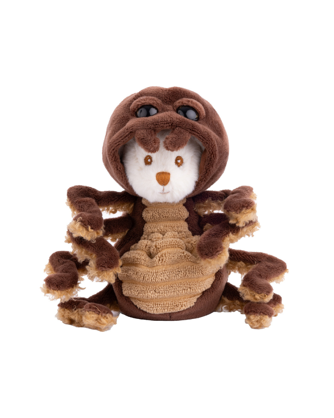 Spinnen Ziggy von Bukowski im braunen Spinnenkostüm