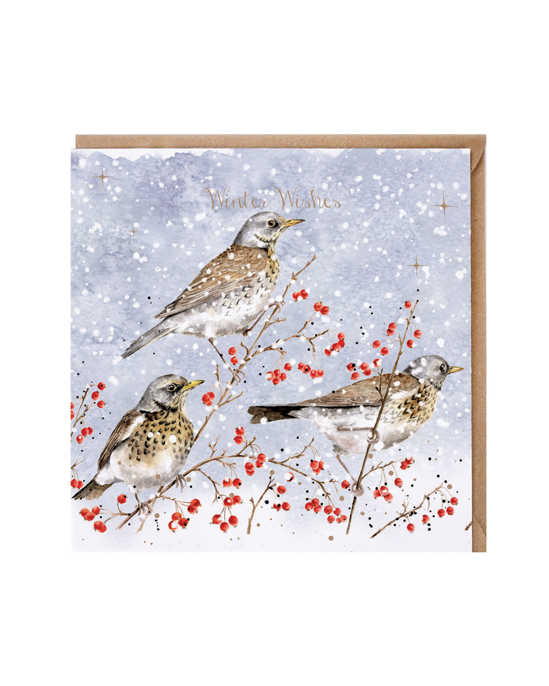 Weihnachtskarte „Winter Visitors“ mit Vogelmotiv von Wrendale Designs vor weißem Hintergrund.