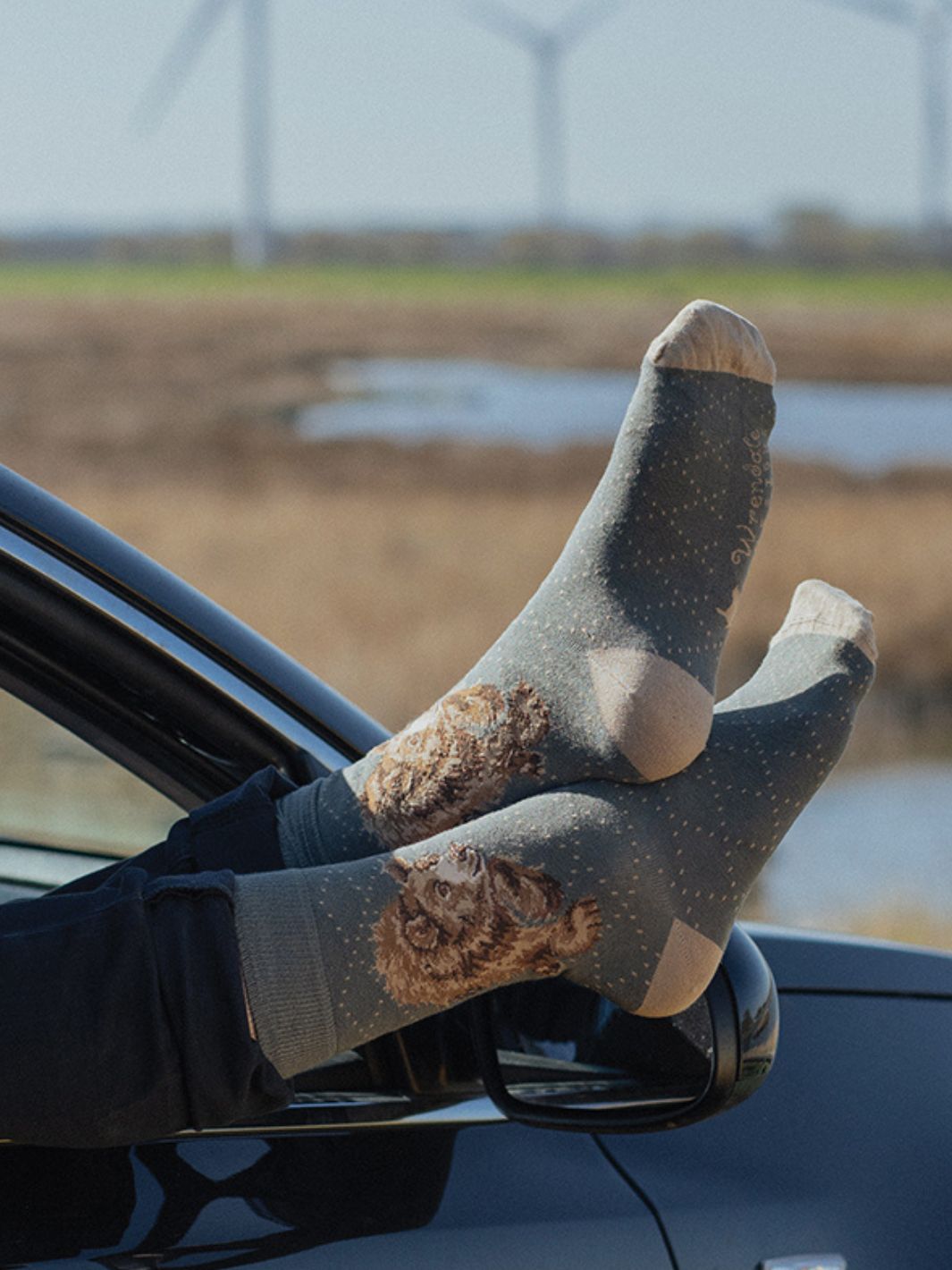 Bären Socken für Männer von Wrendale Designs