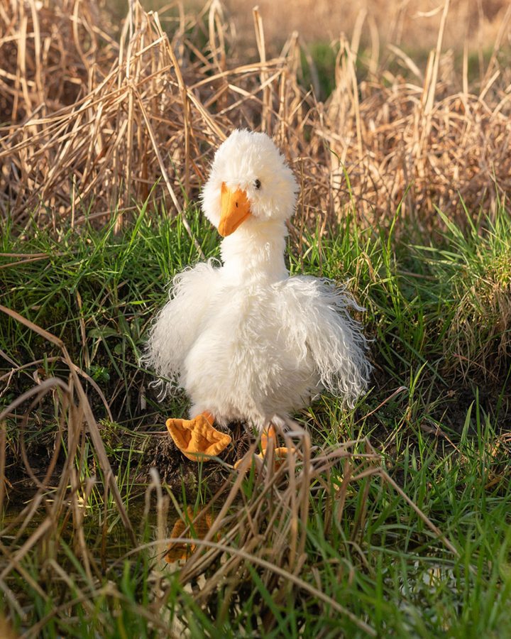 Weißes Gans Kuscheltier "Pearl" auf einer Wiese. Der Schnabel und die Füße sind Orange und im Hintergrund sind getrocknete Pflanzen erkennbar.