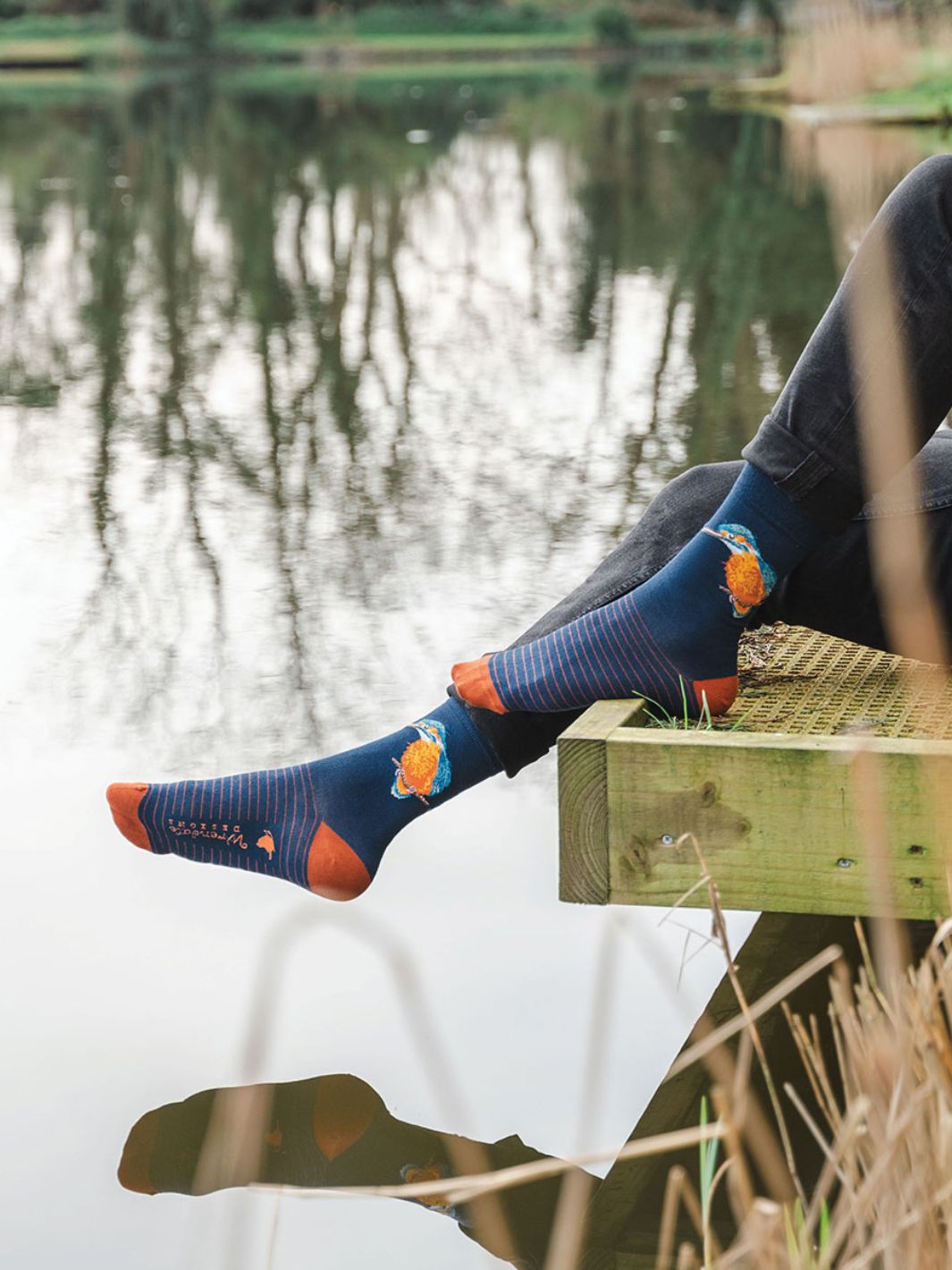 Wrendale Designs Kolibri Männersocken