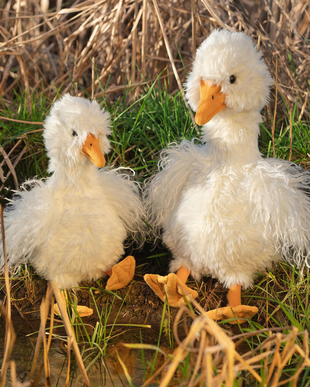 Zwei Gänse Kuscheltiere "Pearl" in klein und groß sitzen auf einer erdigen Wiese. Beide sind weiß mit einem orangenem Schnabel und gleich farbigen Füßen. im Hintergrund sind getrocknete Pflanzen zu sehen.