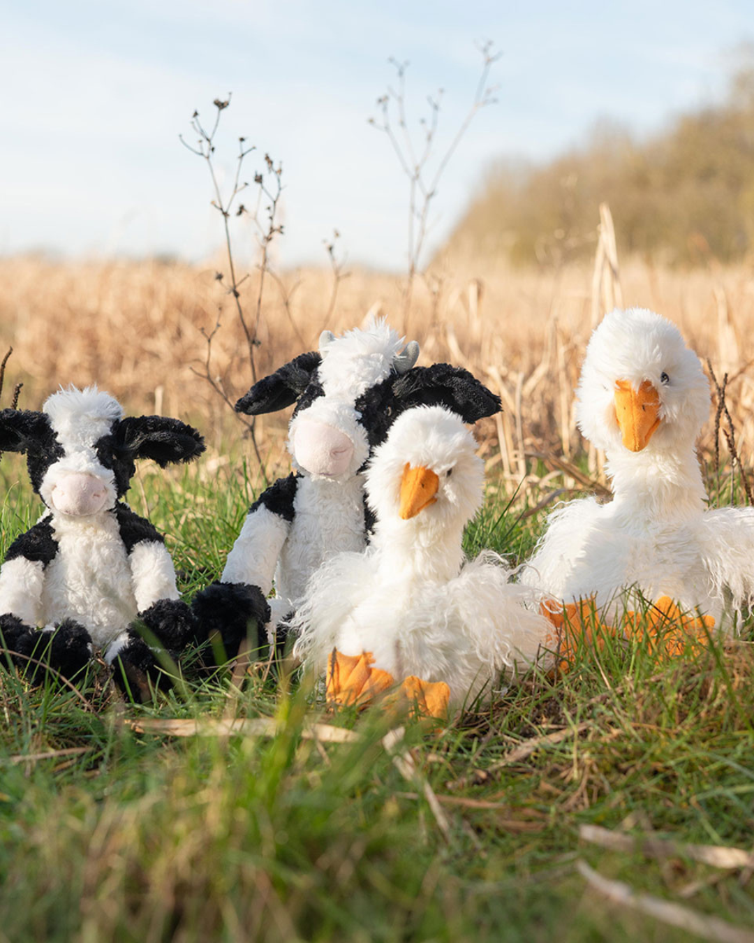 Zwei Gänse Kuscheltiere "Pearl" und 2 Kuh Kuscheltiere jeweils in zwei Größen. Die Kühe sind typisch schwarz weiß gefärbt und di Gänse sind weiß mit einem gelben Schnabel. Die Kuscheltiere sitzen auf einer Wiese mit getrockneten Pflanzen im Hintergrund.