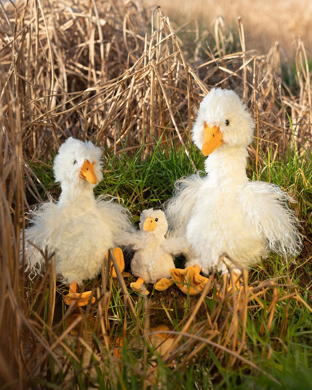 Zwei Gänsen Kuscheltiere und ein Gans Schlüsselanhänger. Die Gänse sind weiß mit einem gelben Schnabel und sehen hochwertig verarbeitet aus. Die 3 sitzen auf einer grünen Wiese mit vertrockneten Pflanzen im Hintergrund.