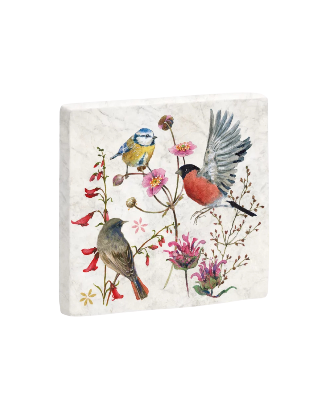 Marmor Untersetzer „Zeit für Harmonie“ vom Grätz Verlag mit Vogel- und Blumenmotiv von Daniela Drescher vor weißem Hintergrund.