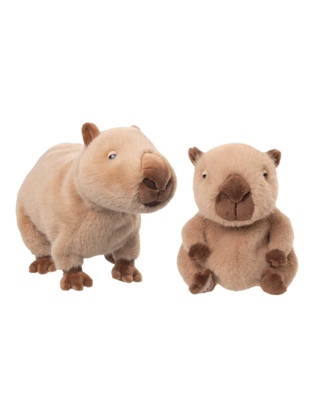 Zwei Capybaras von Bukowski stehen nebeneinander auf weißem Hintergrund. Ihr beigefarbenes Fell und die freundlichen Augen sind gut zu erkennen.