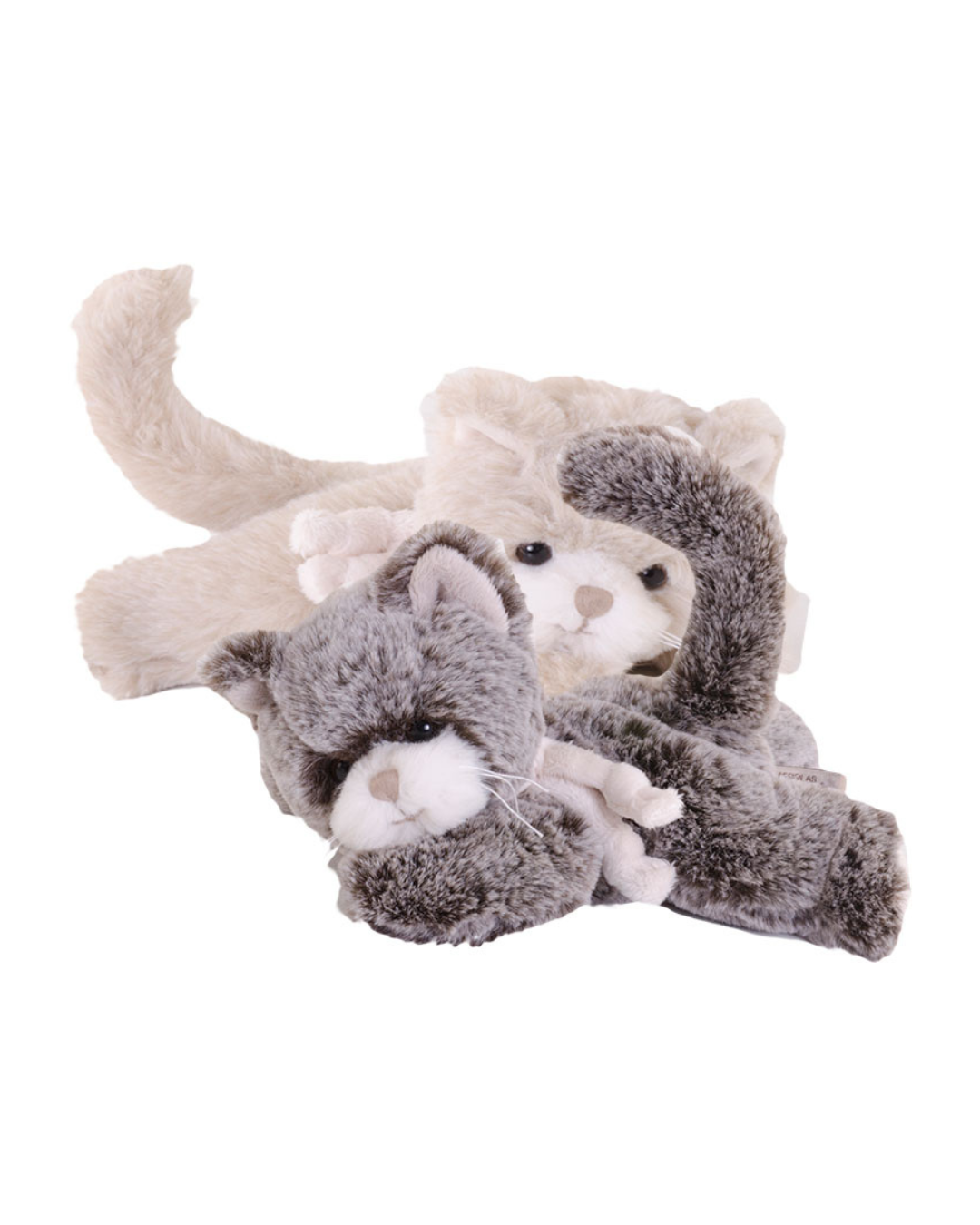 Niedliches Kätzchen-Duo mit ruhiger, vertrauter Ausstrahlung